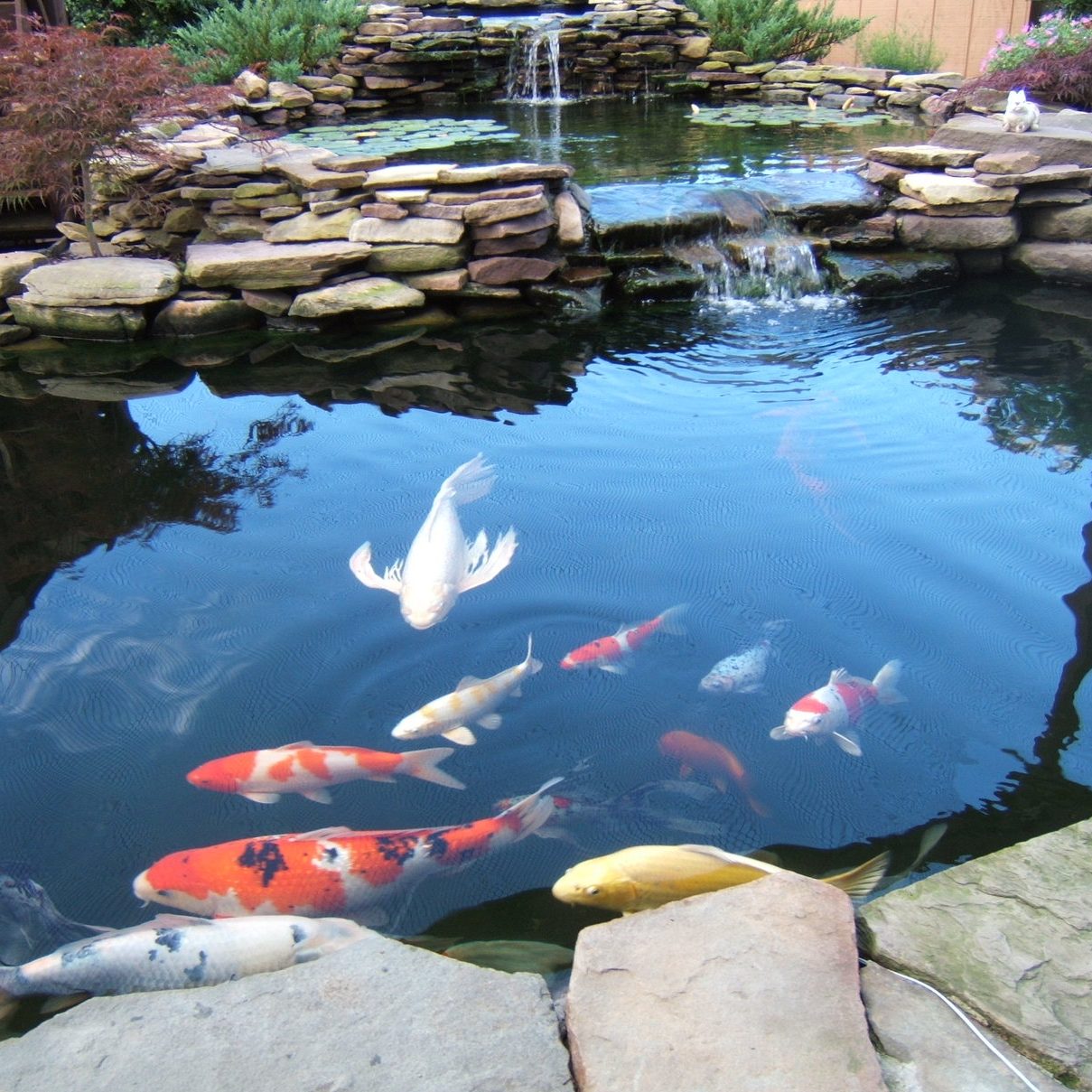 3mx2m Water Garden Koi Fish Pond Liner 9'9" x 6'6" Flexiliner LDPE Great Value 