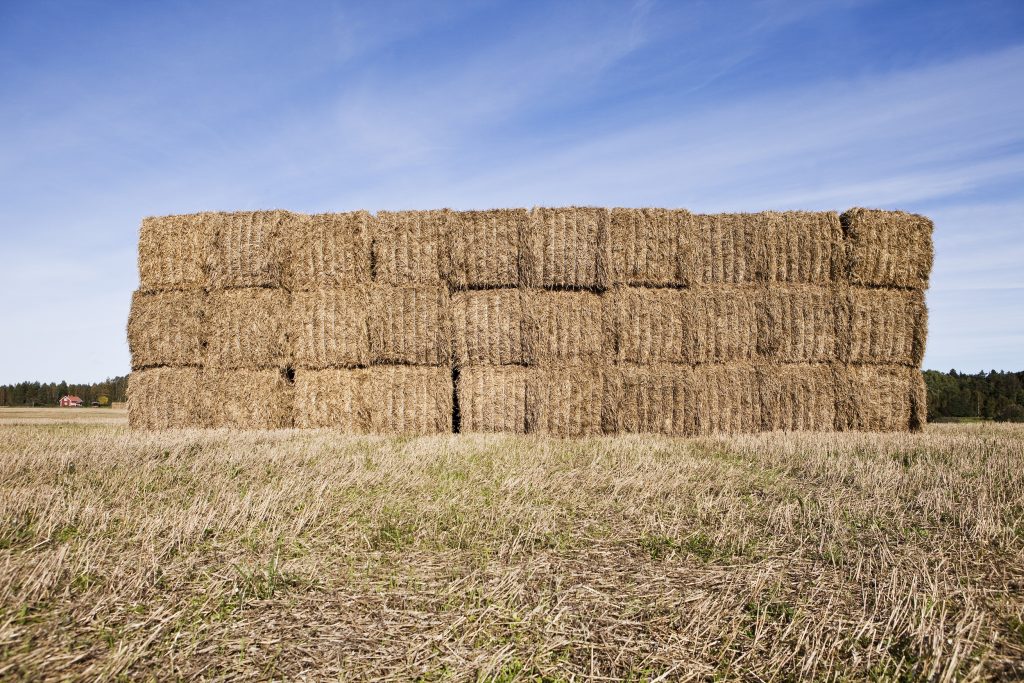 Minimize Waste When Using Tarps for Livestock Hay Storage